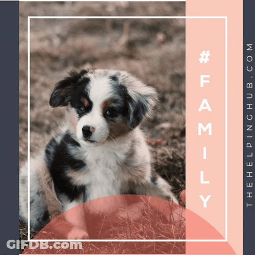 Dog Walking Pose GIF
