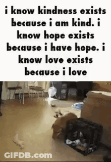 Dog Walking Saying I Know Kindness Exists Because I Am Kind GIF