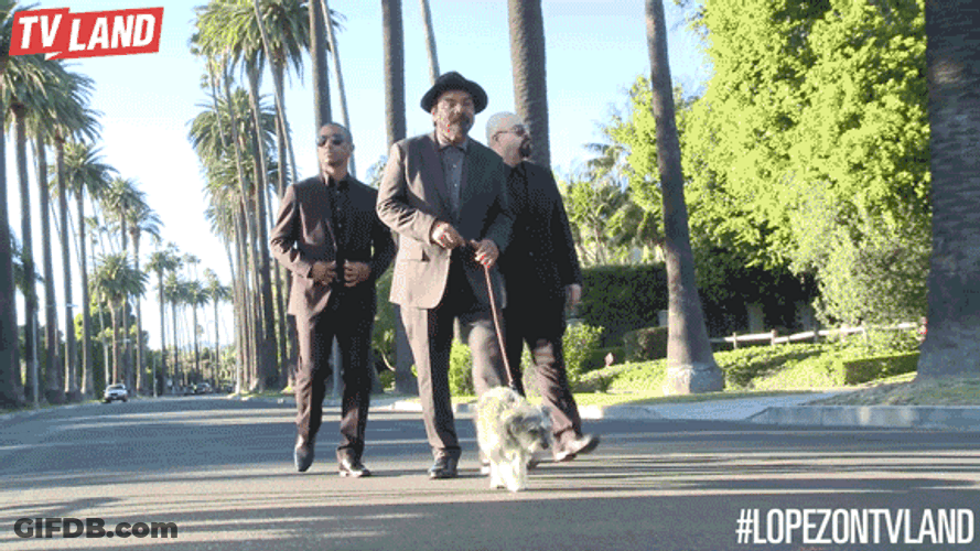 Dog Walking With The Owner GIF