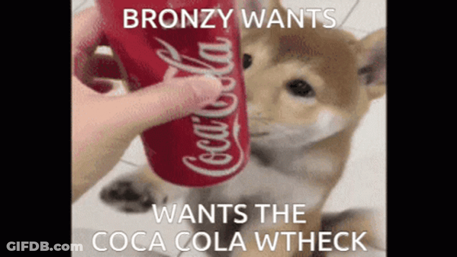 Dog Wants Coca Cola GIF