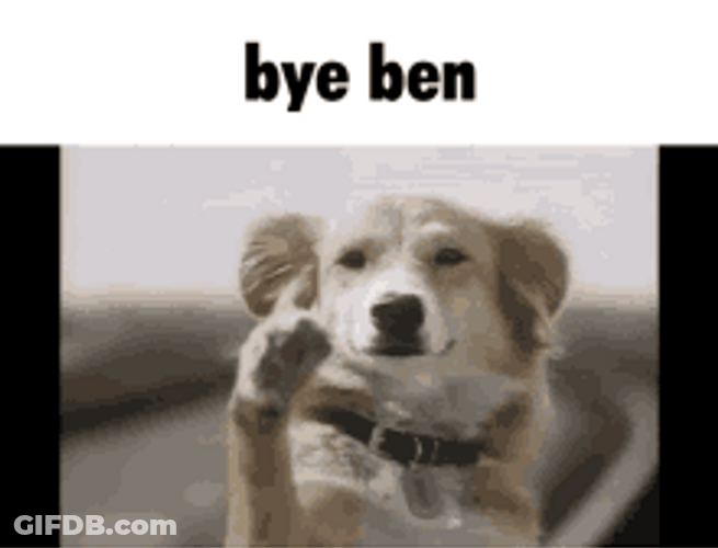Dog Waving Goodbye Bye Ben GIF