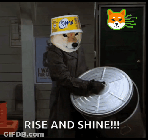 Dog Wearing Bucket On Head GIF