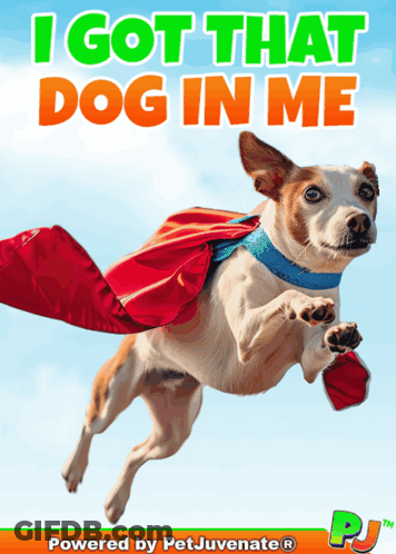 Dog Wearing Cape I Got That Dog In Me GIF