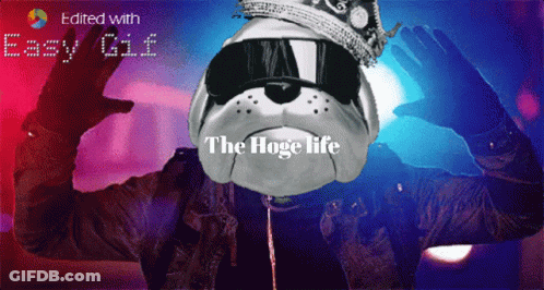 Dog Wearing Crown And Sunglasses The Hoge Life GIF