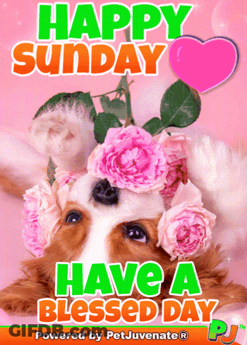 Dog Wearing Flowers Happy Sunday Card GIF
