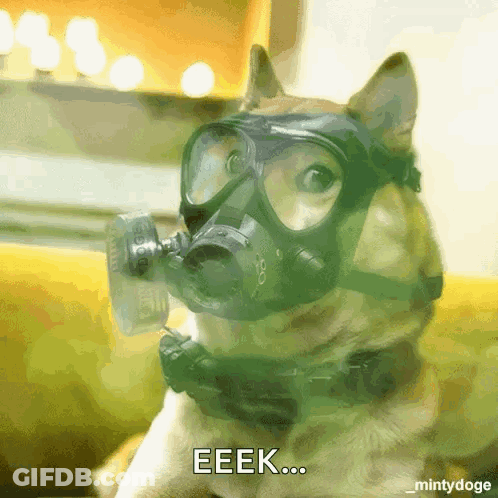Dog Wearing Gas Mask Eeek GIF