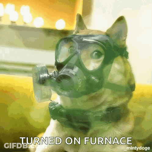 Dog Wearing Gas Mask Turned On Furnace GIF