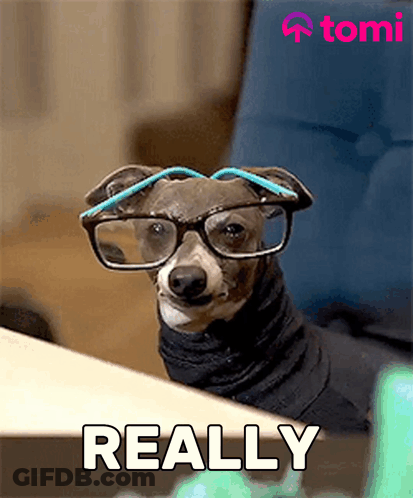 Dog Wearing Glasses And Turtleneck GIF
