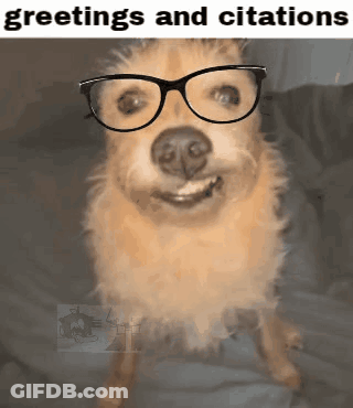 Dog Wearing Glasses Greetings And Citations GIF