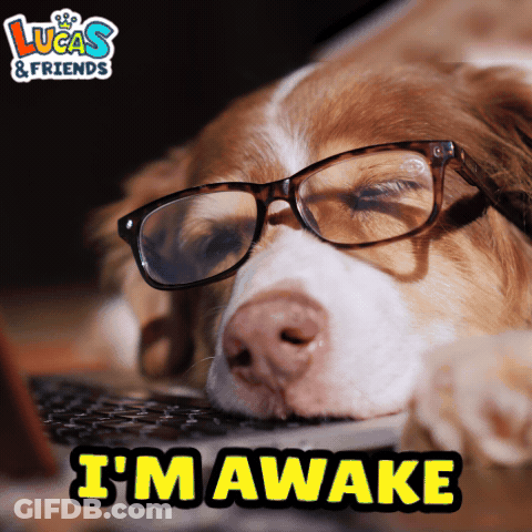Dog Wearing Glasses Lying On Laptop GIF