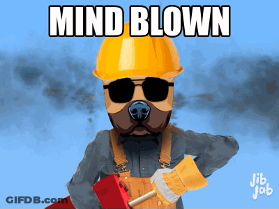 Dog Wearing Hard Hat And Sunglasses GIF