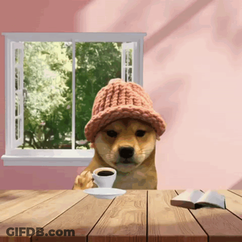 Dog Wearing Hat Holding Cup Of Coffee GIF