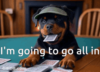 Dog Wearing Hat Playing Cards All In GIF