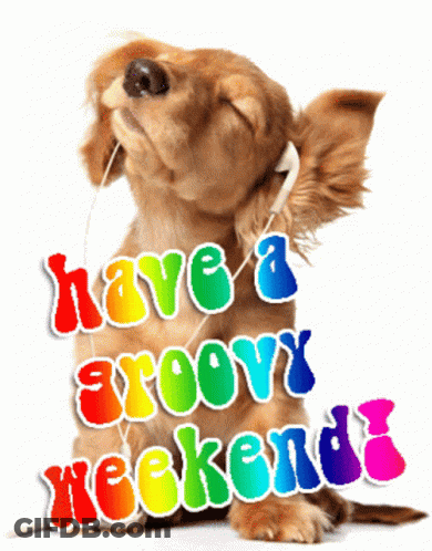 Dog Wearing Headphones Have A Groovy Weekend GIF