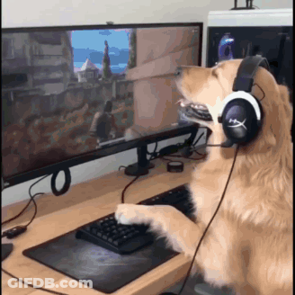 Dog Wearing Headphones Playing Video Game GIF
