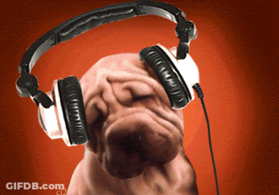 Dog Wearing Headphones With C12 GIF