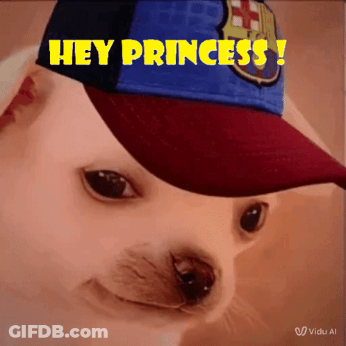 Dog Wearing Hey Princess Hat GIF