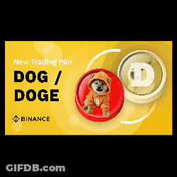 Dog Wearing Hoodie Next To Doge Coin On Yellow Background GIF