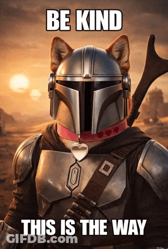 Dog Wearing Mandalorian Helmet Be Kind GIF
