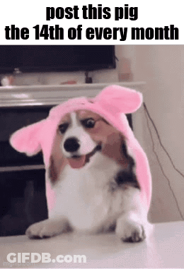 Dog Wearing Pink Bunny Hat Post This Pig The 14Th Of Every Month GIF