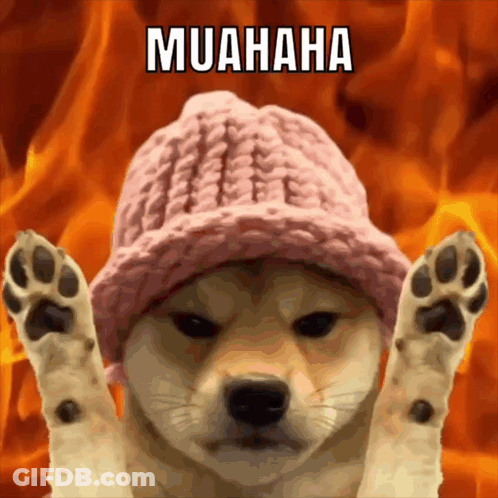 Dog Wearing Pink Hat With Muahaha GIF