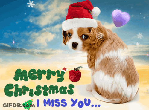 Dog Wearing Santa Hat Christmas Card GIF