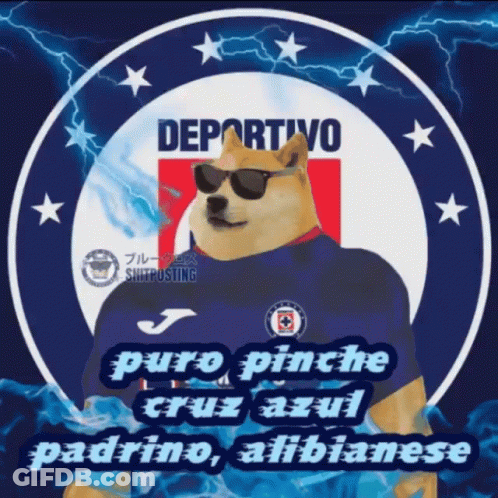 Dog Wearing Sunglasses And Deportivo Shirt GIF