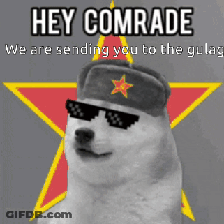 Dog Wearing Sunglasses And Hat Hey Comrade We Are Sending You To The Gulag GIF