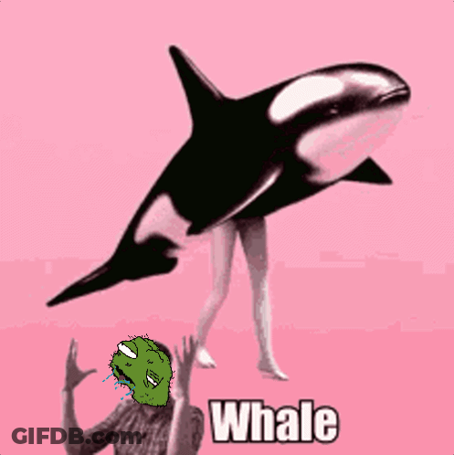 Dog Wearing Sunglasses And Party Hat Saying Happy Azzyay GIF