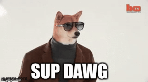 Dog Wearing Sunglasses And Turtleneck Saying Sup GIF
