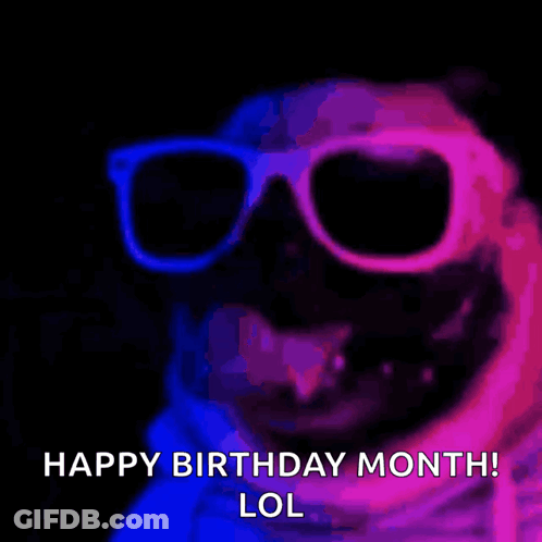 Dog Wearing Sunglasses Happy Birthday Month GIF