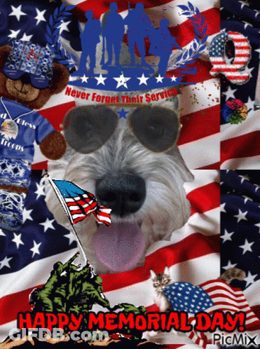 Dog Wearing Sunglasses Happy Memorial Day GIF
