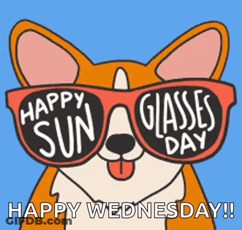 Dog Wearing Sunglasses Happy Sun Glasses Day GIF