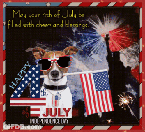 Dog Wearing Sunglasses Holding American Flag GIF