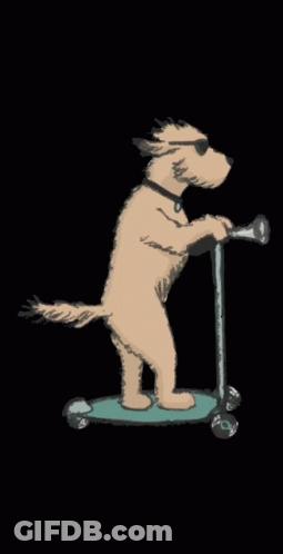 Dog Wearing Sunglasses Riding Scooter GIF