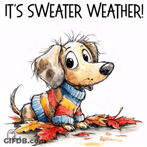 Dog Wearing Sweater Saying Sweater Weather GIF