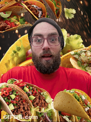 Dog Wearing Taco Shirt Eating Taco GIF