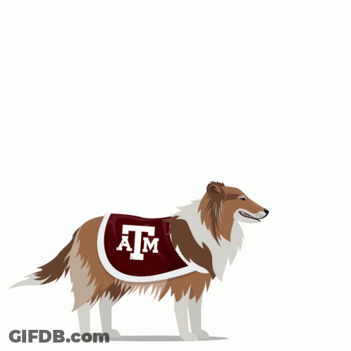 Dog Wearing Texas A&M Athletics Uniform GIF