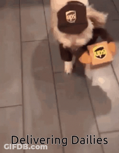 Dog Wearing UPS Hat Carrying Box GIF