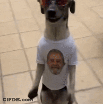 Dog Wearing White Shirt With Man Picture GIF