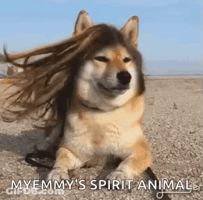 Dog Wearing Wig Lying On Ground GIF