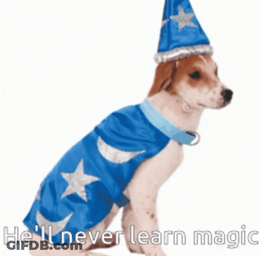 Dog Wearing Wizard Outfit GIF