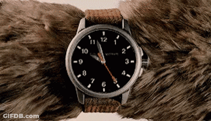 Dog Wearing Wrist Watch GIF