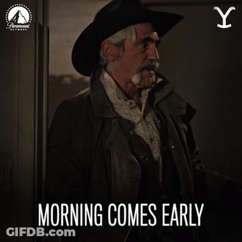 Dog When Your Friend Calls You At 6 AM GIF