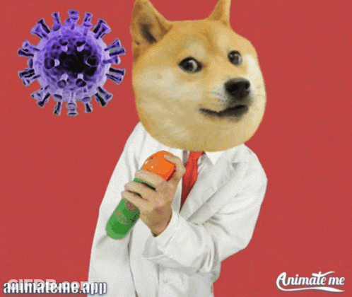 Dog With Animateme.app GIF