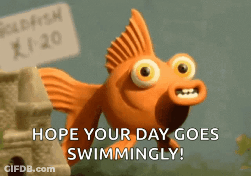 Dog With As You Recover Follow These 3 Simple Commands GIF
