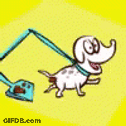 Dog With Attached Dustpan Catching Its Poop GIF