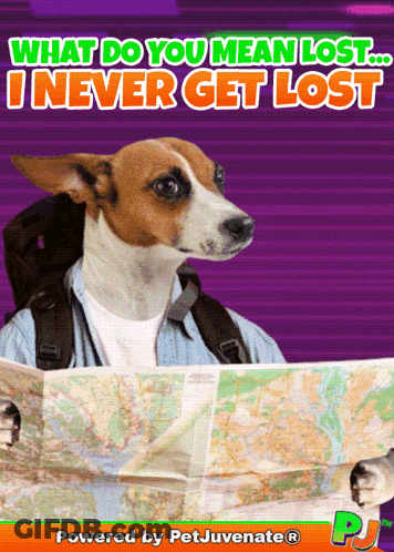 Dog With Backpack Holding Map Saying What Do You Mean Lost I Never Get Lost GIF