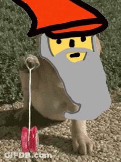 Dog With Beard Holding Yo-Yo GIF