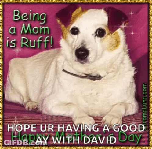 Dog With Being A Mom Is Ruff GIF